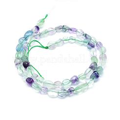 Natural Fluorite Beads Strands&nbsp;G-L550A-02