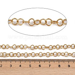 304 Stainless Steel Nuggets Link Chains&nbsp;CHS-A019-01G