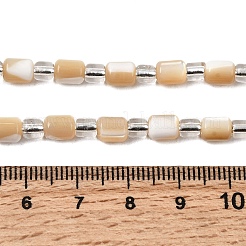 Natural Trochid Shell/Trochus Shell Beads Strands&nbsp;BSHE-A002-02B