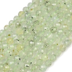 Natural Prehnite Beads Strands&nbsp;G-G281-B02-6mm