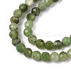Natural Canadian Jade Beads Strands&nbsp;G-T143-04