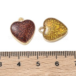 Alloy Enamel Pendants&nbsp;FIND-A065-01G