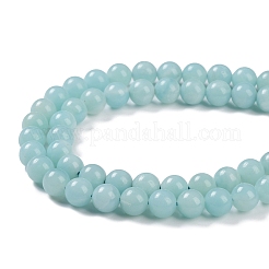 Grade A Natural Amazonite Beads Strands&nbsp;G-C046-01B