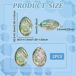 2Pcs Natural Paua Shell Big Pendants&nbsp;FIND-BC0013-55