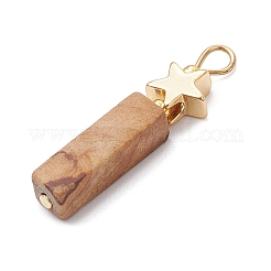 Natural Crazy Lace Agate/Map Stone/Flower Amazonite/Wood Lace Stone Rectangle Pendants&nbsp;PALLOY-JF02971