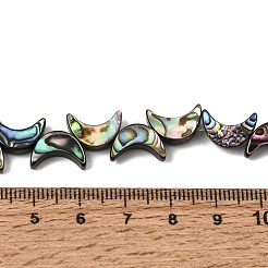 Natural Abalone Shell Paua Shell Beads Strands&nbsp;SSHEL-M021-08A
