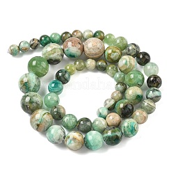 Natural Green Line Jasper  Graduated Beads Strands&nbsp;G-F830-A01-01