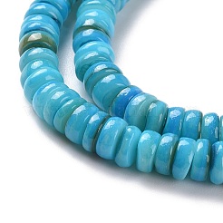Shell Beads Strands&nbsp;SSHEL-E571-49C