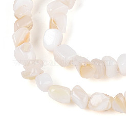Natural Freshwater Shell Beads Strands&nbsp;SHEL-N038-06A