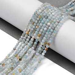 Natural Amazonite Beads Strands&nbsp;G-E351-10A-01