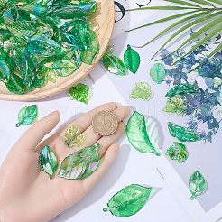 100G Transparent Acrylic Pendants&nbsp;TACR-BM0001-06