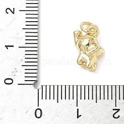 Brass Charms&nbsp;ZIRC-I356-04G-01