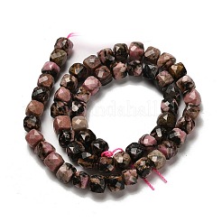 Natural Rhodonite Beads Strands&nbsp;G-H078-C16-01