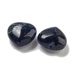 Natural Sodalite Beads&nbsp;G-P531-A10-01