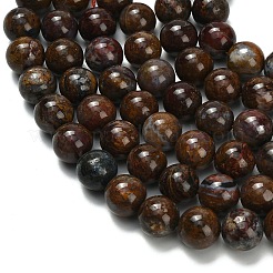 Natural Pietersite Beads Strands&nbsp;G-L642-B16-12mm