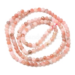 Natural Rhodonite Beads Strands&nbsp;G-F460-57