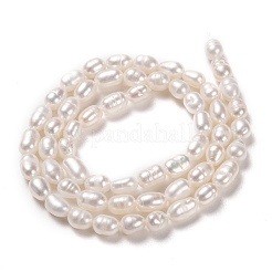 Natural Cultured Freshwater Pearl Beads Strands&nbsp;PEAR-L033-62-01