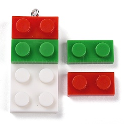 Resin Pendants&nbsp;RESI-E017-C-M
