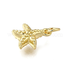 Brass Charms&nbsp;ZIRC-I070-085G