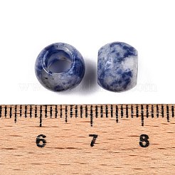 Natural Blue Spot Jasper Beads&nbsp;G-T092-10mm-11