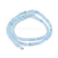 Natural Aquamarine Beads Strands&nbsp;G-E411-19B-2mm