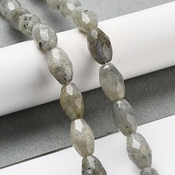 Natural Labradorite Beads Strands&nbsp;G-P520-C08-01