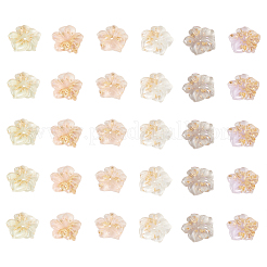 30Pcs 5 Colors Transparent Resin Cabochons&nbsp;RESI-CJ0001-186