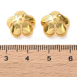 Brass Bead Caps&nbsp;KK-C260-20A-G