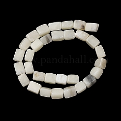 Natural White African Opal Beads Strands&nbsp;G-D098-D04-02