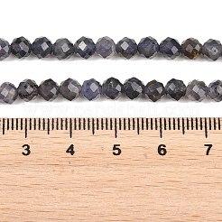 Natural Iolite Beads Strands&nbsp;G-RM250101-D7