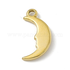304 Stainless Steel Pendants&nbsp;STAS-P316-19G