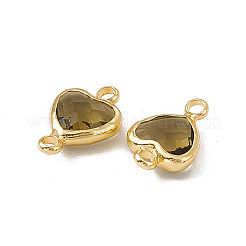 Transparent K9 Glass Connector Charms&nbsp;X-GLAA-A005-31LG-08