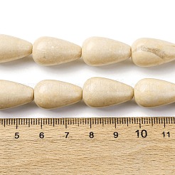 Natural Fossil Beads Strands&nbsp;G-F808-D01-02
