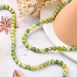 Natural Serpentine Beads Strands&nbsp;G-N166-6