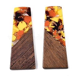 Opaque Resin & Walnut Wood Pendants&nbsp;RESI-T058-04J