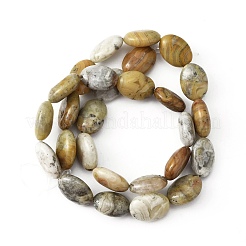 Natural Crazy Lace Agate Beads Strands&nbsp;G-WH0026-20
