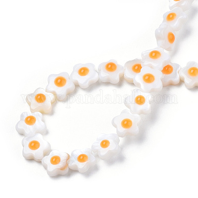 Natural Freshwater Shell Beads Strands&nbsp;SHEL-N003-31A-01-1