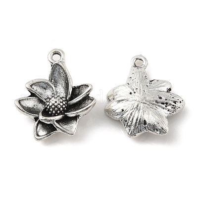 Alloy Pendants&nbsp;PALLOY-M211-02AS-1
