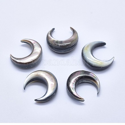 Natural Black Lip Shell Cabochons&nbsp;SSHEL-P015-80B-20mm-1