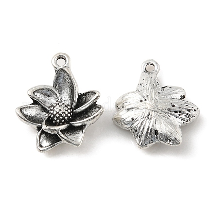 Alloy Pendants&nbsp;PALLOY-M211-02AS-1