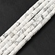 Natural Howlite Beads Strands&nbsp;G-I341-04-3