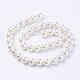 Shell Pearl Beads Strands&nbsp;BSHE-L035-6mm-I13-2