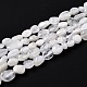 Natural Rainbow Moonstone Beads Strands&nbsp;G-G018-48-1