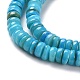 Shell Beads Strands&nbsp;SSHEL-E571-49C-5