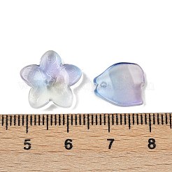 Gradient Color Transparent Glass Beads&nbsp;GLAA-B026-01L