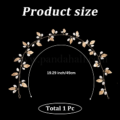 Alloy Flexible Hair Accessories&nbsp;PALLOY-WH20816-001G