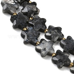 Natural Larvikite Beads Strands&nbsp;G-P573-C11-01