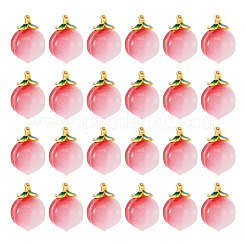 20Pcs Handmade Lampwork Pendants&nbsp;LAMP-TA0002-25