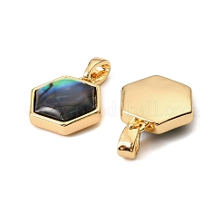 Natural Paua Shell Hexagon Charms&nbsp;KK-G538-30G