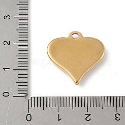 304 Stainless Steel Pendants&nbsp;STAS-P388-15G